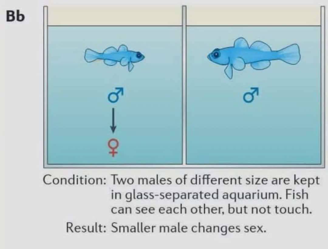 When small accounts and big accounts become mutuals