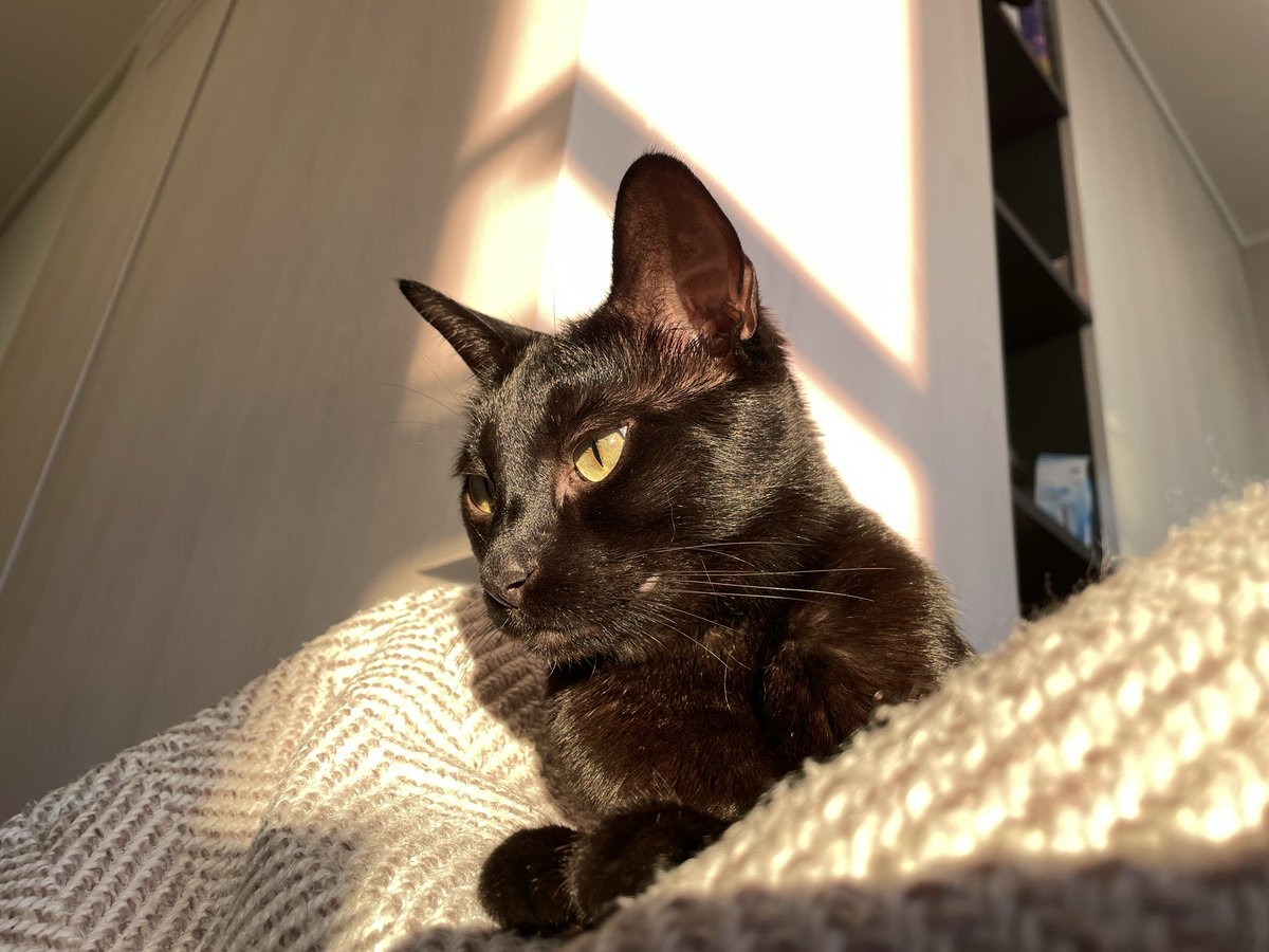 dotkavi's tweet image. 우리집 애 잘생겼죠