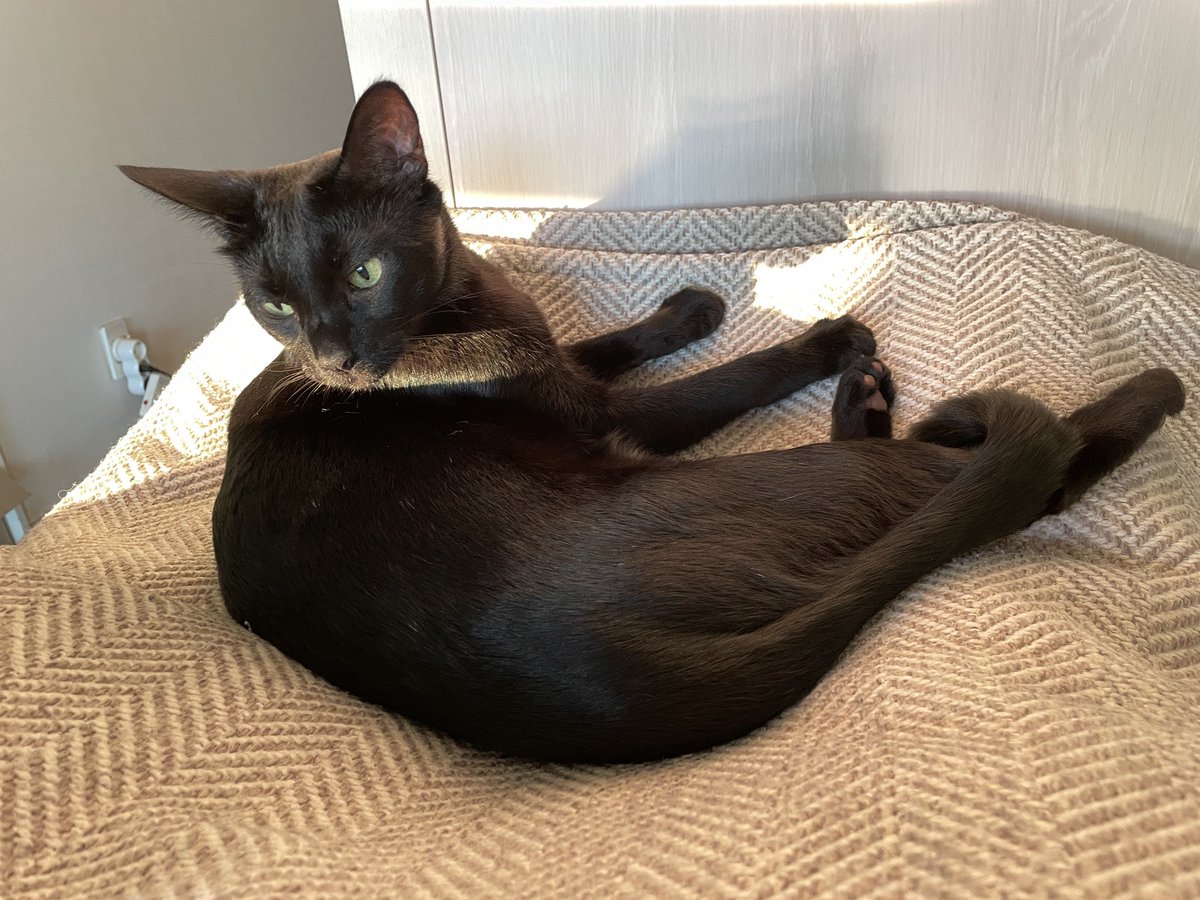 dotkavi's tweet image. 우리집 애 잘생겼죠