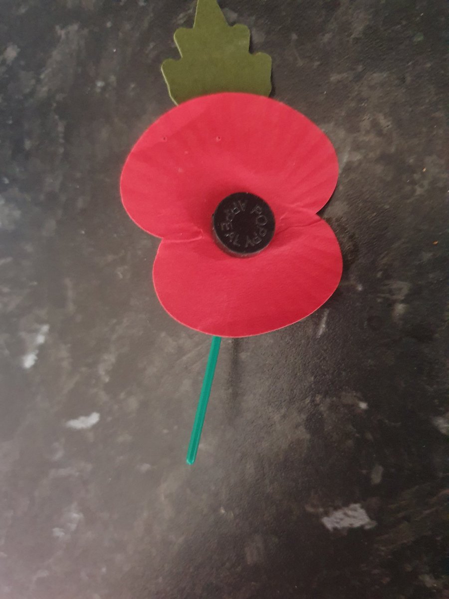 Amy # Catfighter ..# Warrior ..# boxer 🤘🦊💋 tweet media