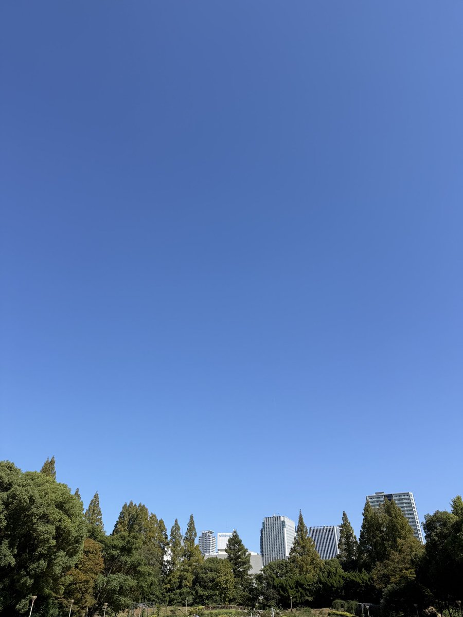 red_elmon's tweet photo. いまそら☀️靱公園

お疲れ様です。
大阪はかなり良い天気になります。
引き続き本日も宜しくお願い致します。

#いまそら #イマソラ #大阪 #西区
#靱公園 

#毎朝地元の天気を言い合う https://t.co/lhCApY0kfo