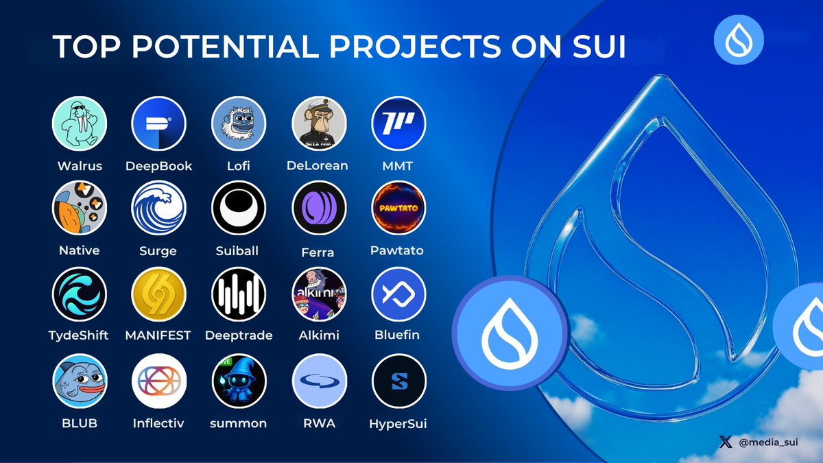 Sui Media💧 tweet media