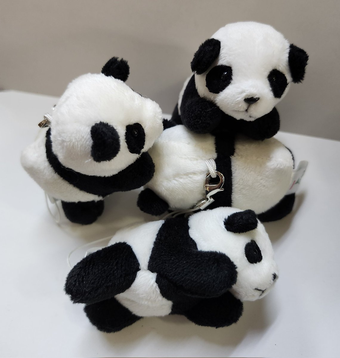 【パンダページ】 ぱんだや@横浜中華街 (@chpandaya) / Posts / X