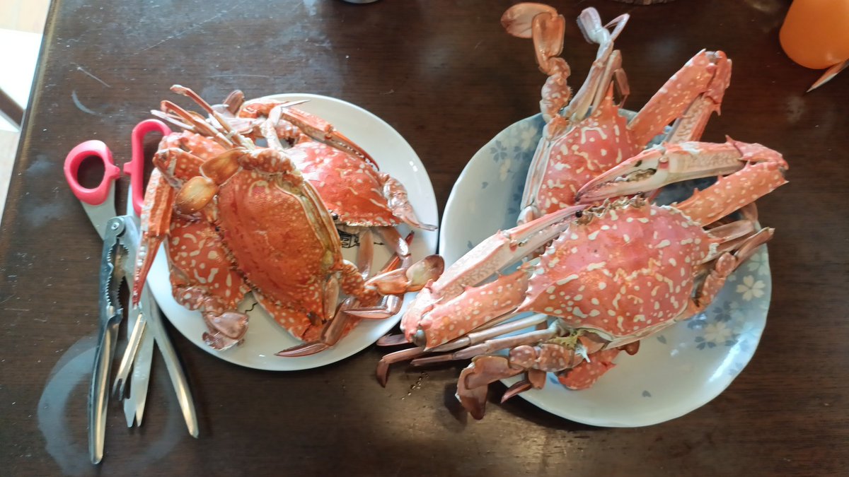 蟹パーリィ昼下がり