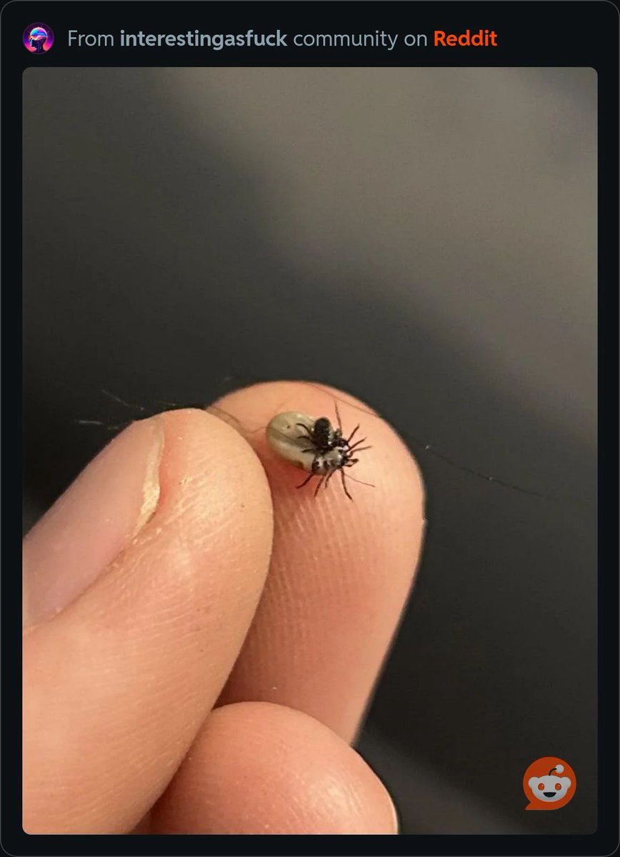 WebCoderz's tweet image. Damn even ticks have ticks nowadays. Stay safe out there