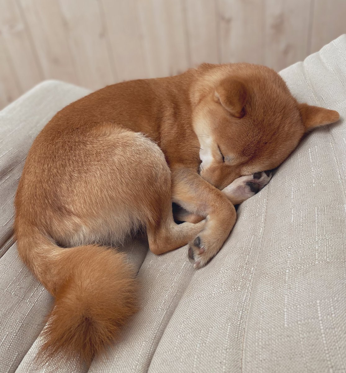 まあ様 (@Maasama1220) / Posts / X