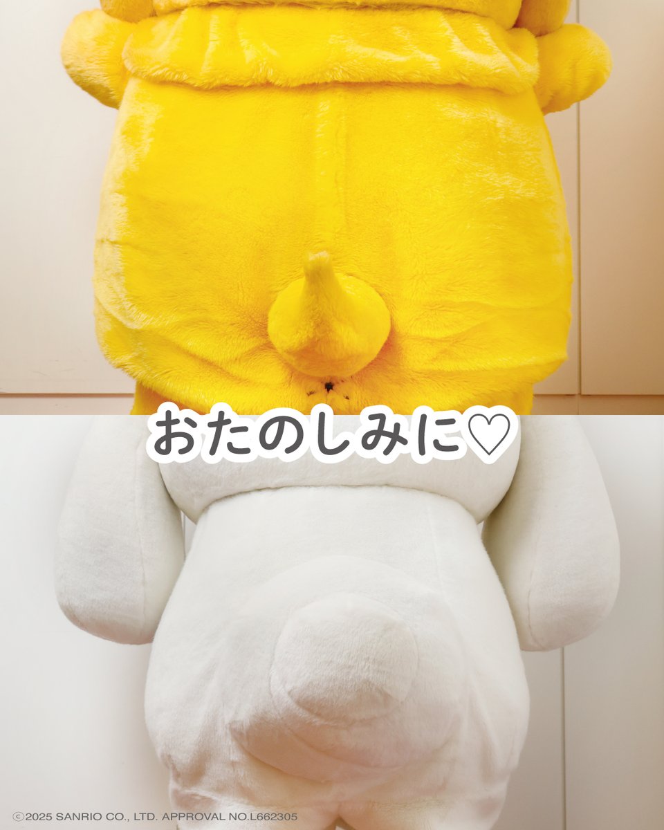 akぴょんこ (@aky_n612) / Posts / X