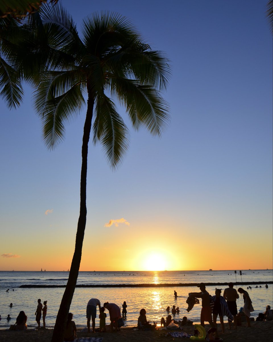 アロハセブン【公式】 on X