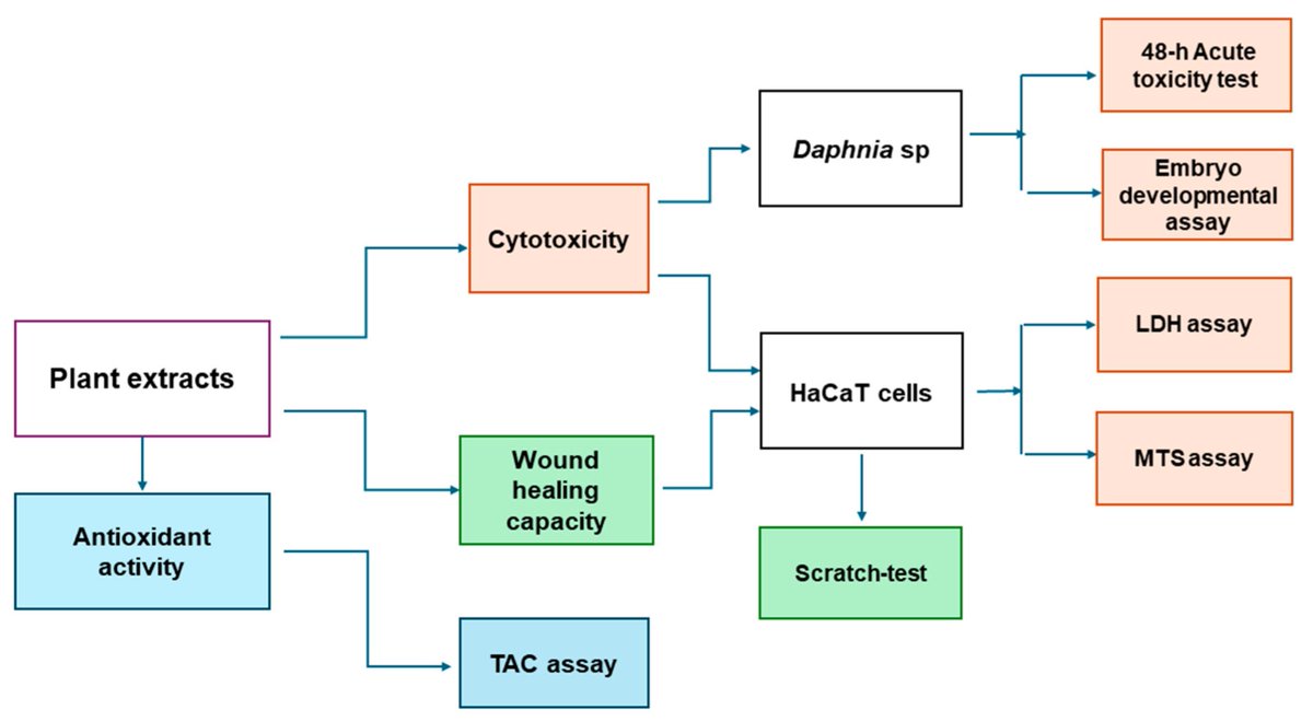 Cosmeticsmdpi's tweet image. #OpenAccess #Article
📑Title: In Vitro #Toxicity Evaluation of Some #Plant Extracts and Their Potential Application in #Xerosis cutis
Authors: Adelina Ghica et al.
📌 brnw.ch/21wWReO