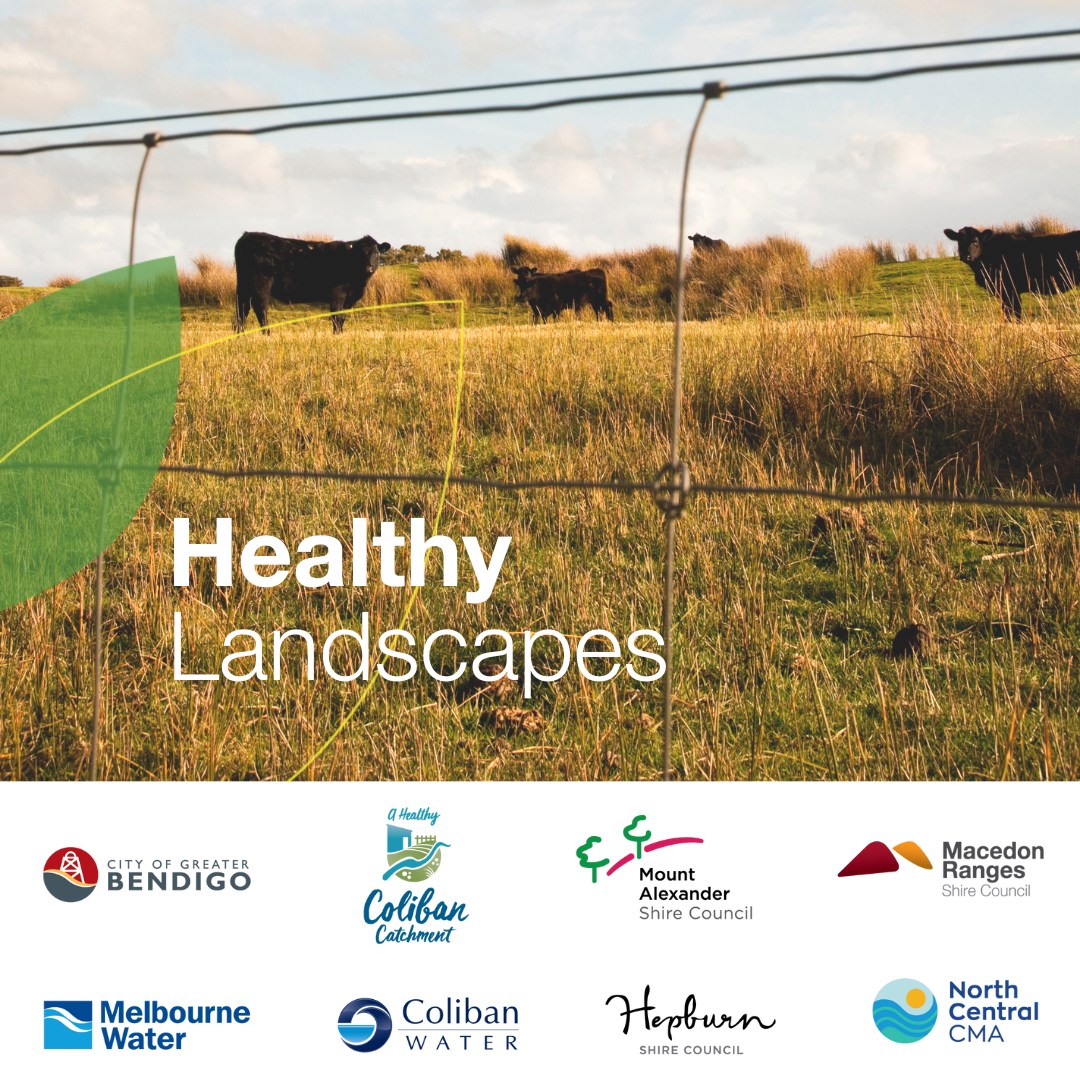 🐴 Worm Egg Counts with WormCheck - Lauriston &amp; Romsey 

Learn about parasite control with expert Jacqui Pannozzo.
Join us on 11 &amp; 12 November for informative sessions focused on keeping your horses, cattle and sheep 🐑 happy and healthy.

Register now: bit.ly/4ot4Lkj