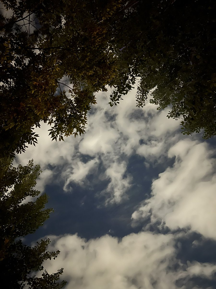 draw_chae's tweet image. 오랜만에 완전체(?)
더 추워지기 전에 한강 나들이를 했어요.
팀아뚱멍단 포에버