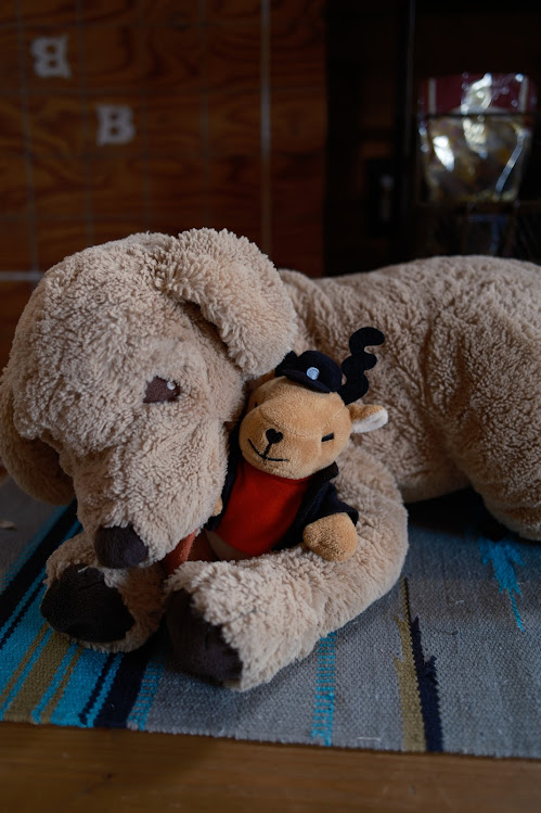 鹿番長（キャプテンスタッグ 公式） (@shikabancho) / Posts / X