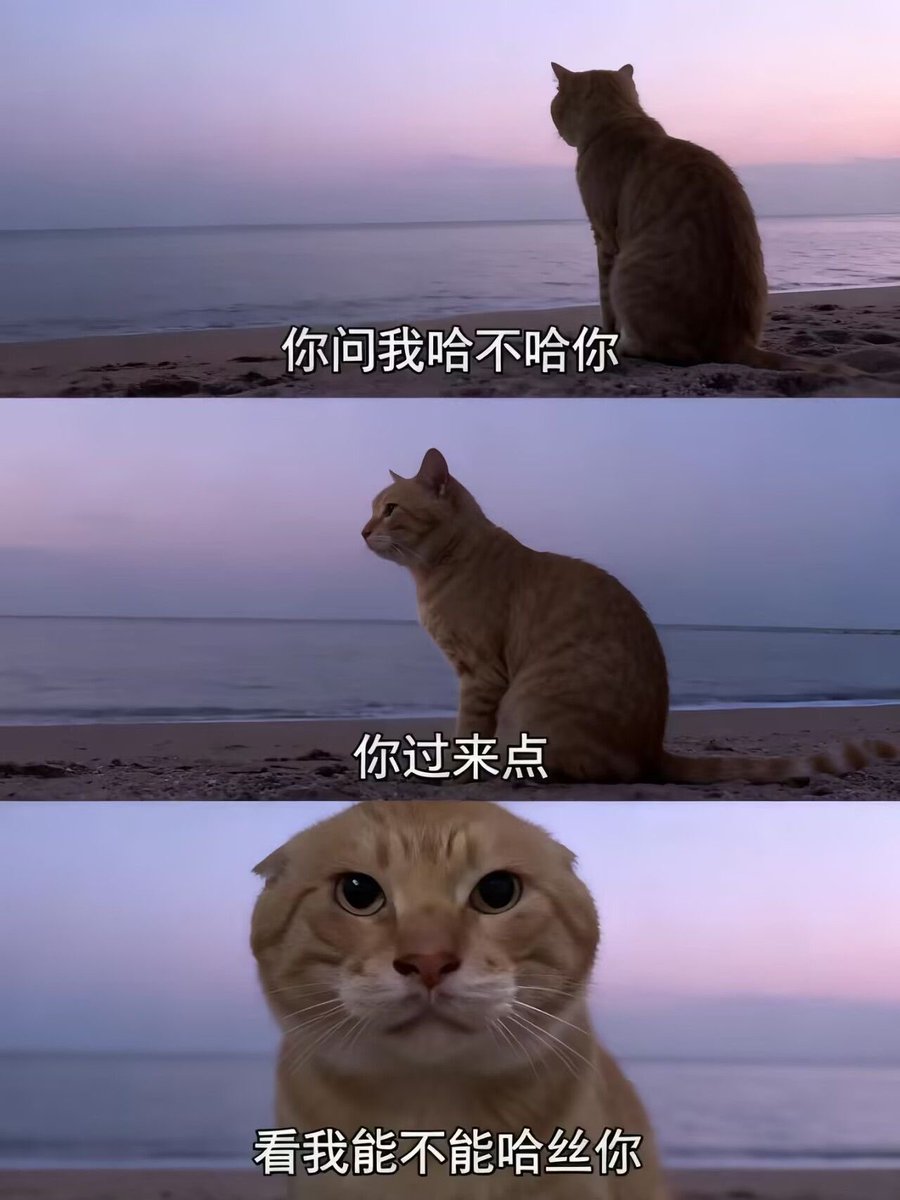 雲鳩 (@cldeop) on Twitter photo 