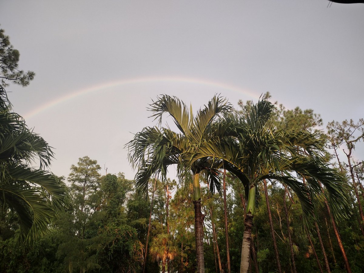 Tweetin Jackleg (@tweetin_jackleg) on Twitter photo I prefer non-gay rainbows I prefer non-gay rainbows
