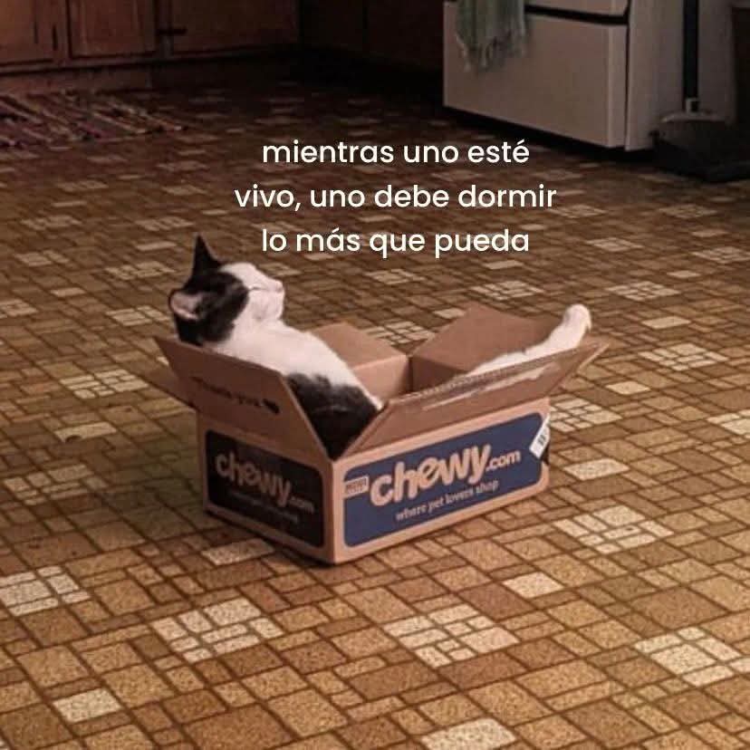 En Júpiter tweet media