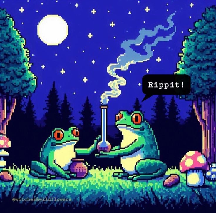 Cannabis 💚 tweet media