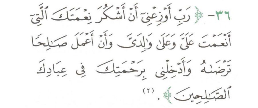 Anoud tweet media