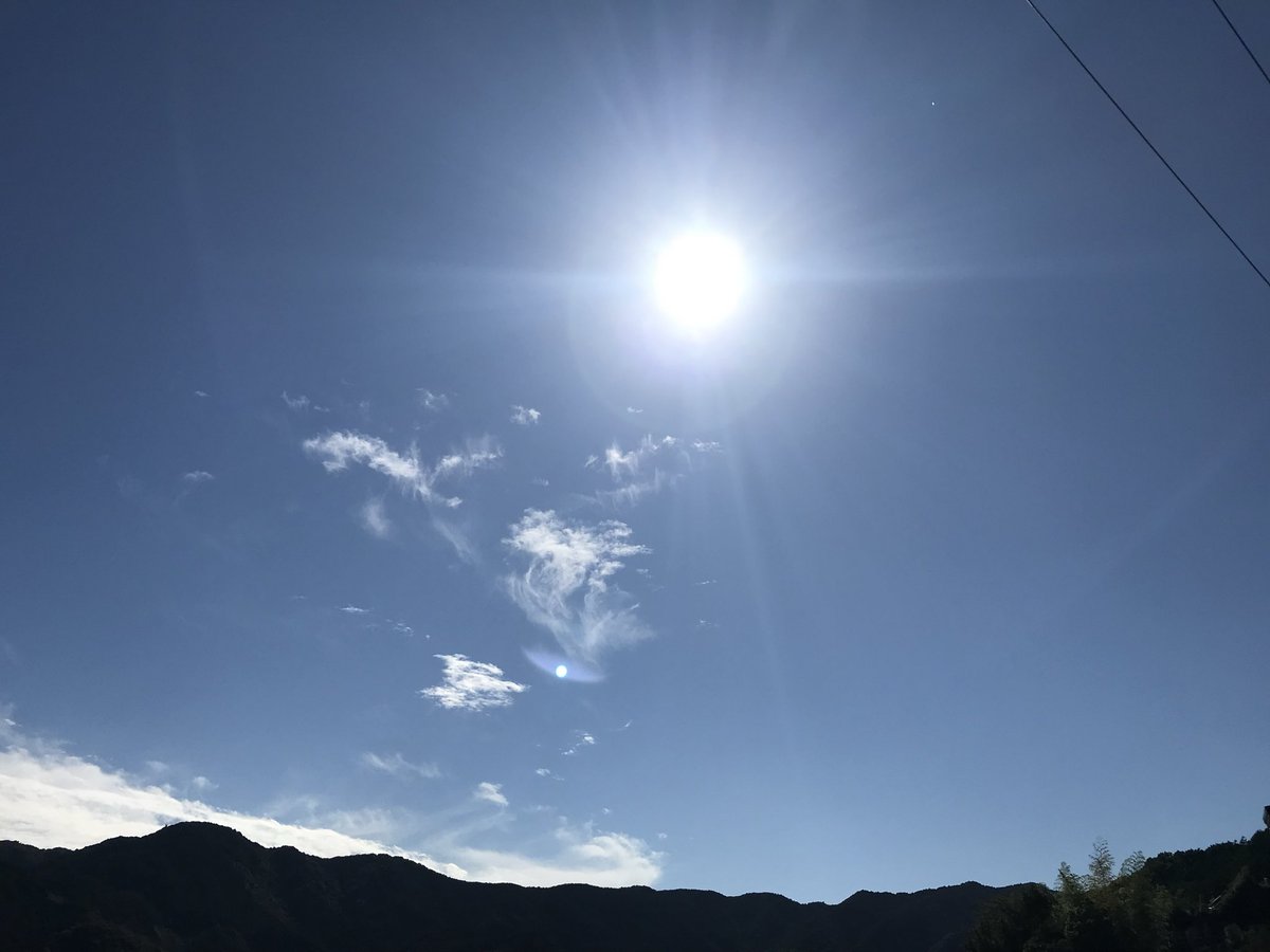 よしべや自然博物館 on X