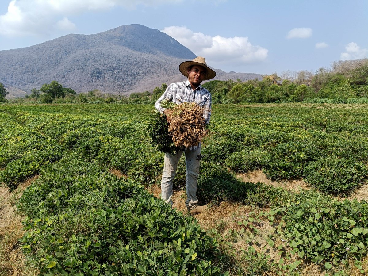 México Ruta Mágica tweet media