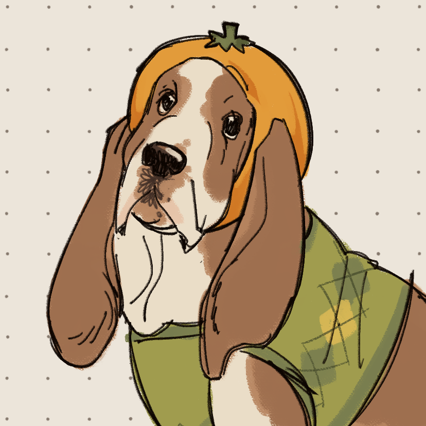 a day without rambo is like a day without sunshine