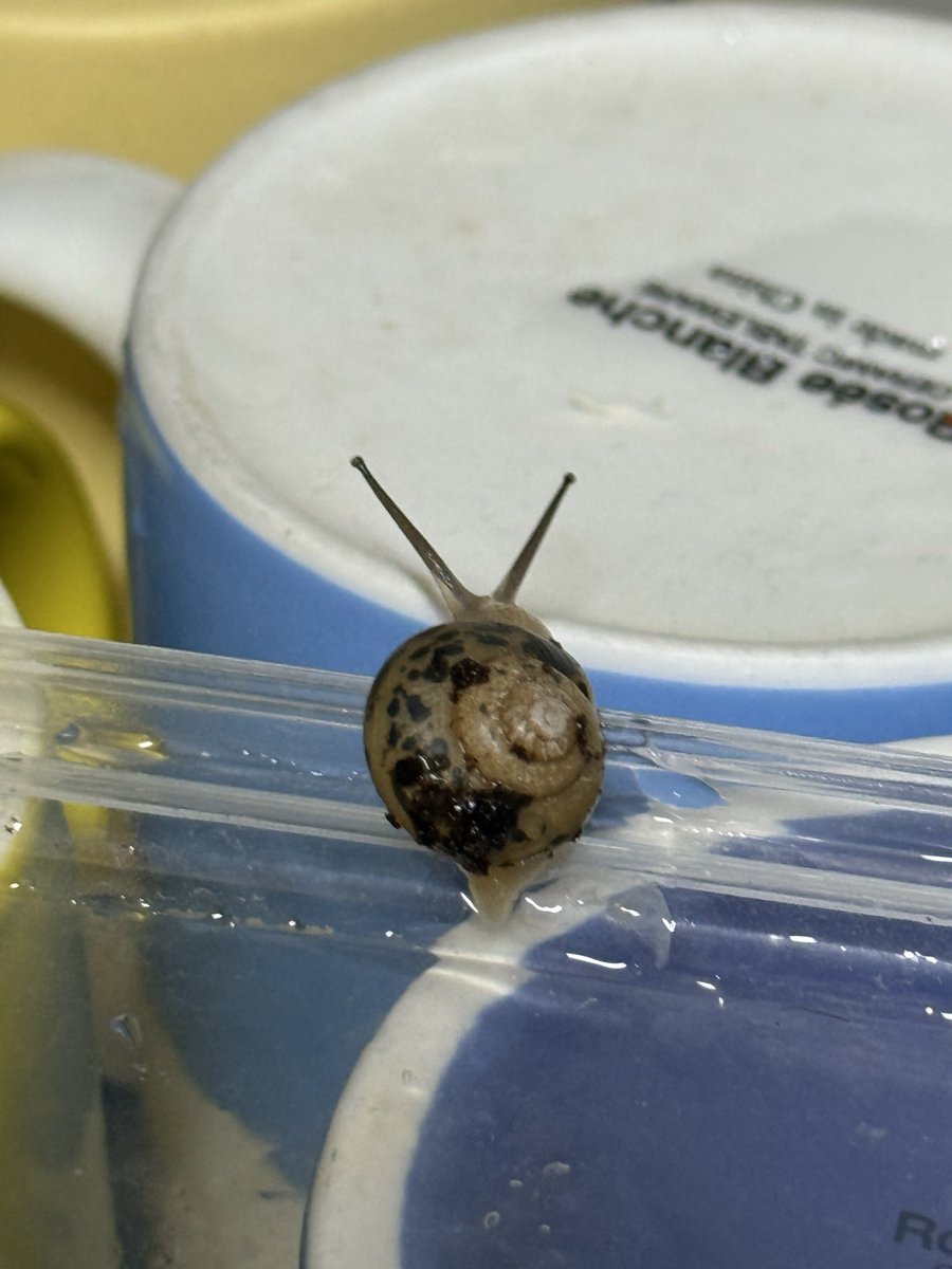 도망갈려는 궁디빵디 잡아서 맘마 먹였습니다