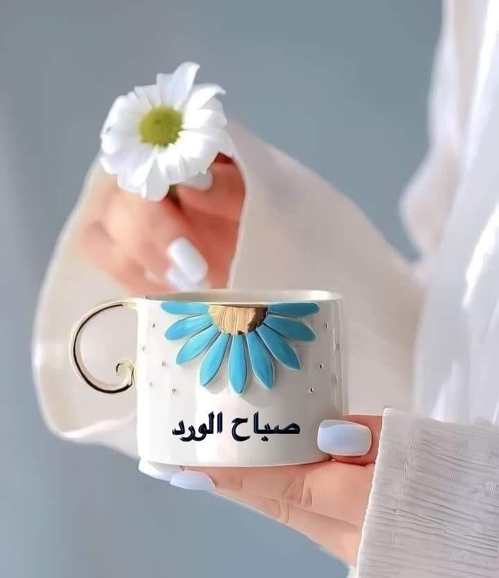 الحمد لله ..
 على صباح أقبل ونحن  نسمع ونبصر ..

الحمد لله ..
على فجر أذن ونحن  نركع ونسجد ..

الحمد لله ..
على شمس أشرقت ونحن نؤمن ونشكر ..

الحمد لله ..
على يوم أقبل قمنا فيه من فراشنا دون مساعدة أحد ولم يوقظنا الوجع ..