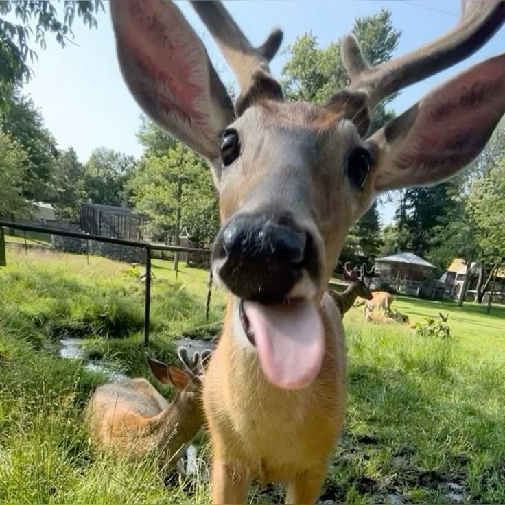 mae .｡.:* 𐂂 tweet media