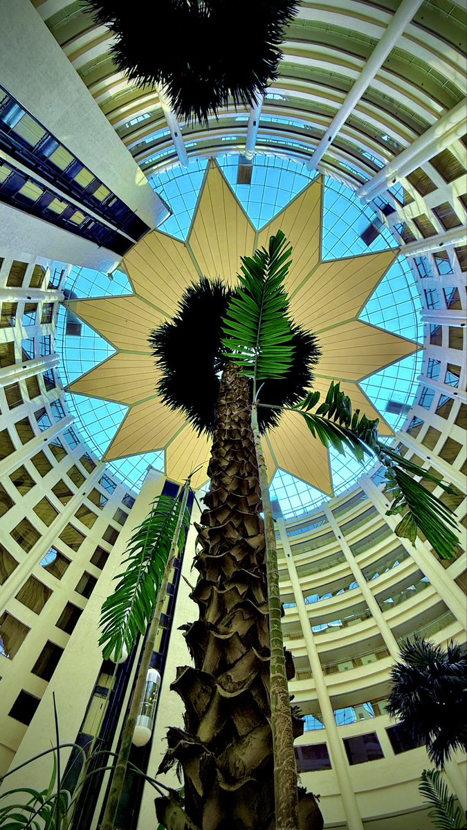 SensingSenses's tweet image. Sky high!