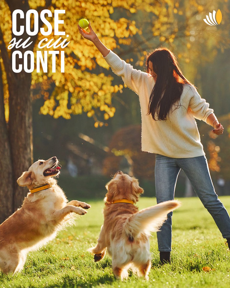 Con #ControCorrente hai più tempo da dedicare a ciò che conta davvero per te😊
➡️Aprilo online o in filiale: controcorrente.it/?IDadv=1472
#IBLBanca #contoremunerato

(Mes. Pub. Offerta per nuovi clienti che aprono dal 08/07/25 al 31/10/25. Fogli info su controcorrente.it)