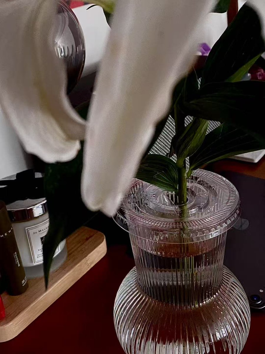 Relax and enjoy the peace of the moment.
#lifestyle #lily #enjoy