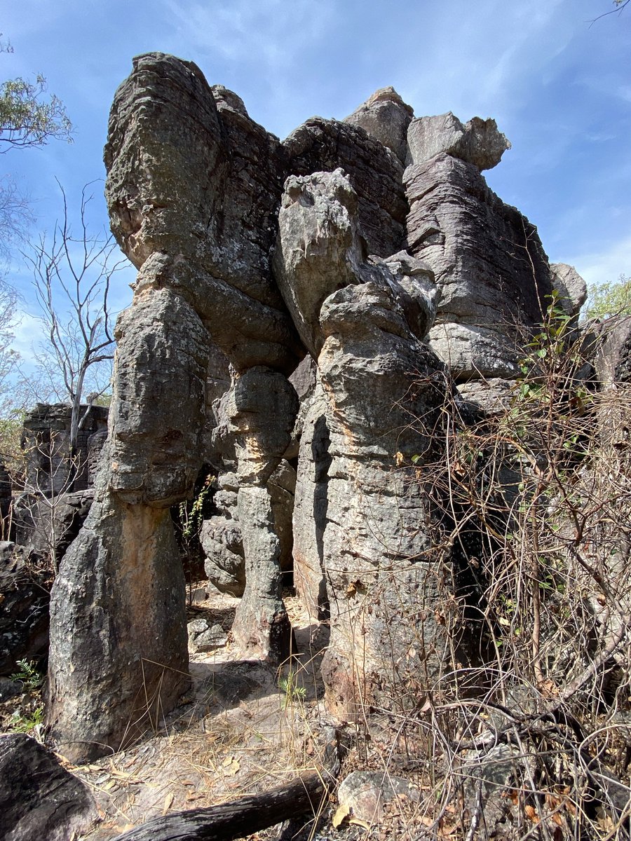 Free3dom888's tweet photo. Day 112 - Litchfield National Park, NT
All is not lost… just like the Lost City in Litchfield, sometimes the best things are hidden for a while before they rise again. #Crypto #BullRun #VRA #Theta #LapofOz #CaravanLife https://t.co/WbMDPAuqA5