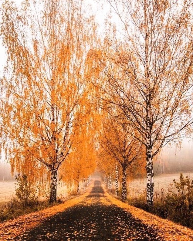 123 (@xetra_a) on Twitter photo 