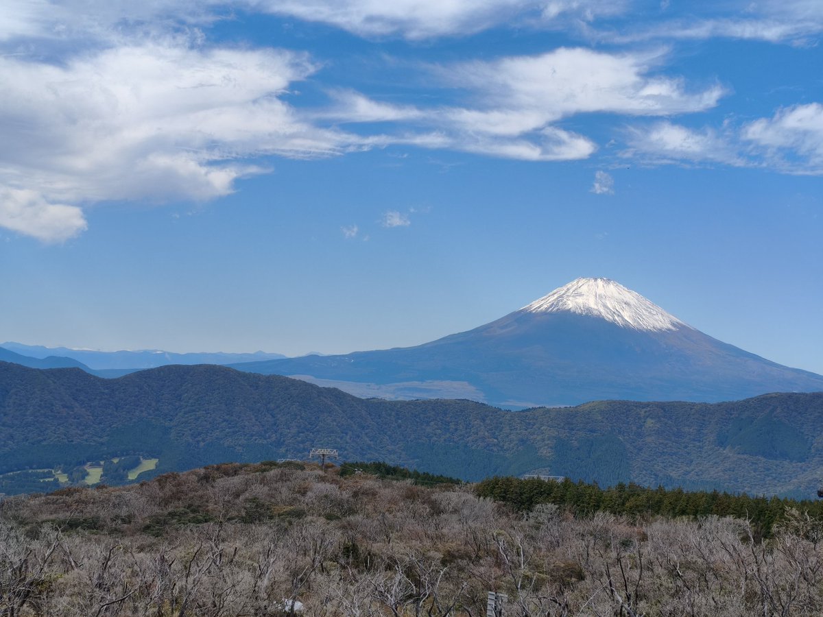 F4CIB JL1GYO tweet media