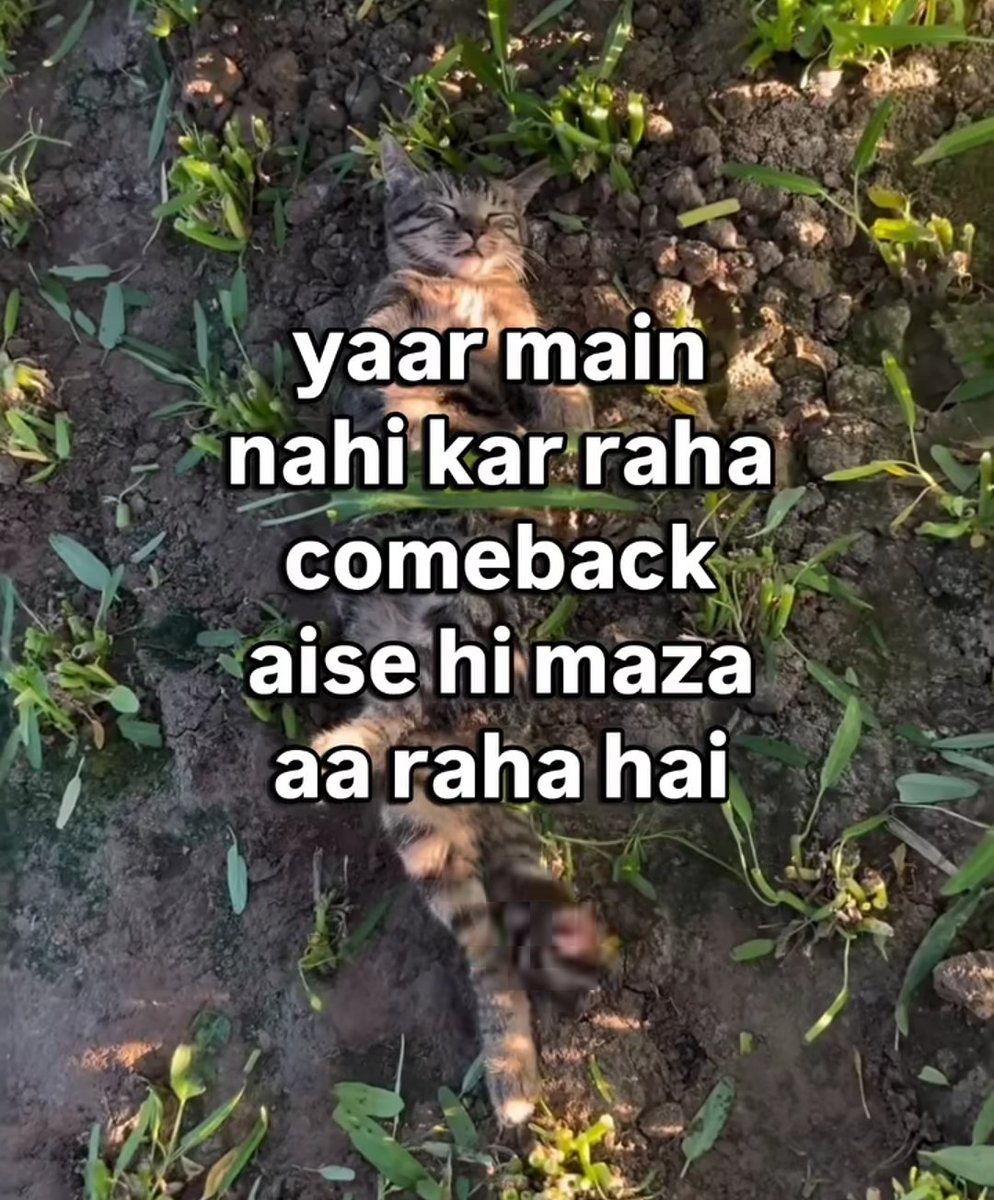 cneuralnetwork's tweet image. kohli