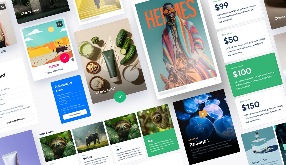 JetSloth tweet media