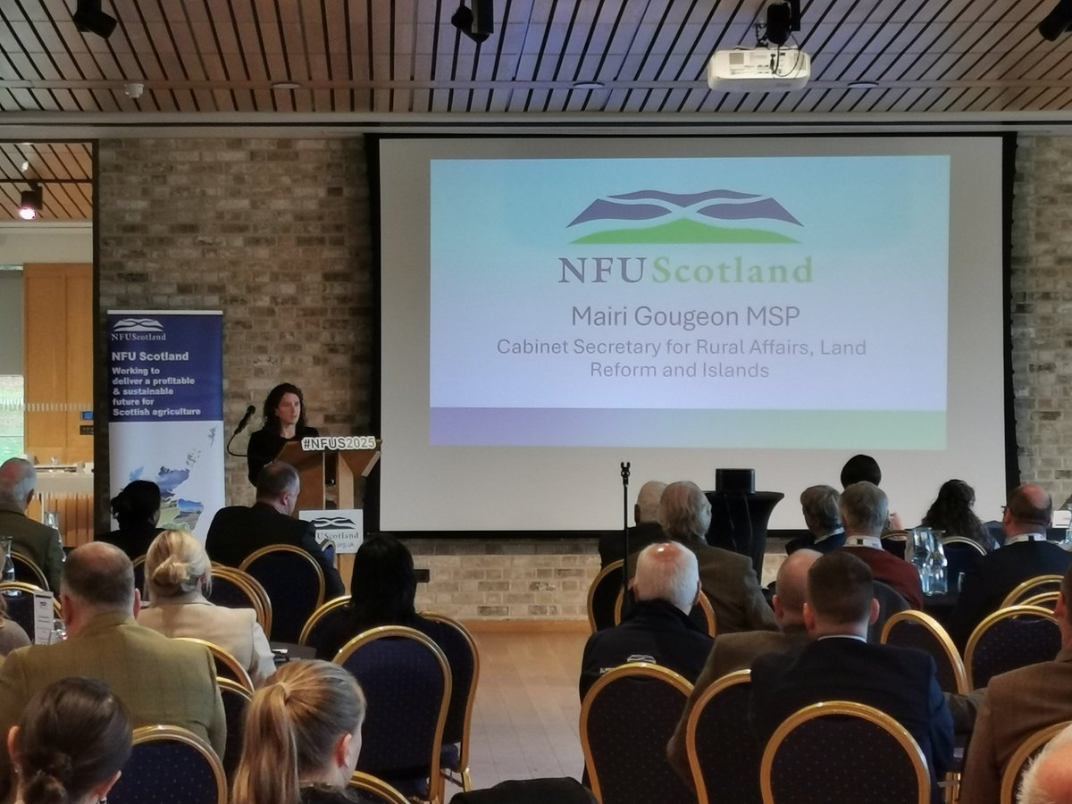 Scots govt to increase funding of FFIS capital grants scheme from £14m to £21.4m this year. Scheme v popular with Scots farmers and crofters. 'Those who have applied will be informed of the outcome of their applications from 31st October', says cab sec <a href="/MairiGougeon/">Mairi Gougeon</a> #NFUS2025