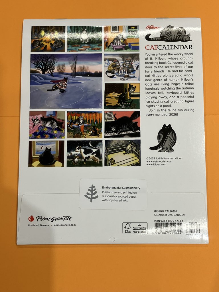 4階洋書】1970年代にアメリカで生まれたクリバンキャット🐈 コミカルで