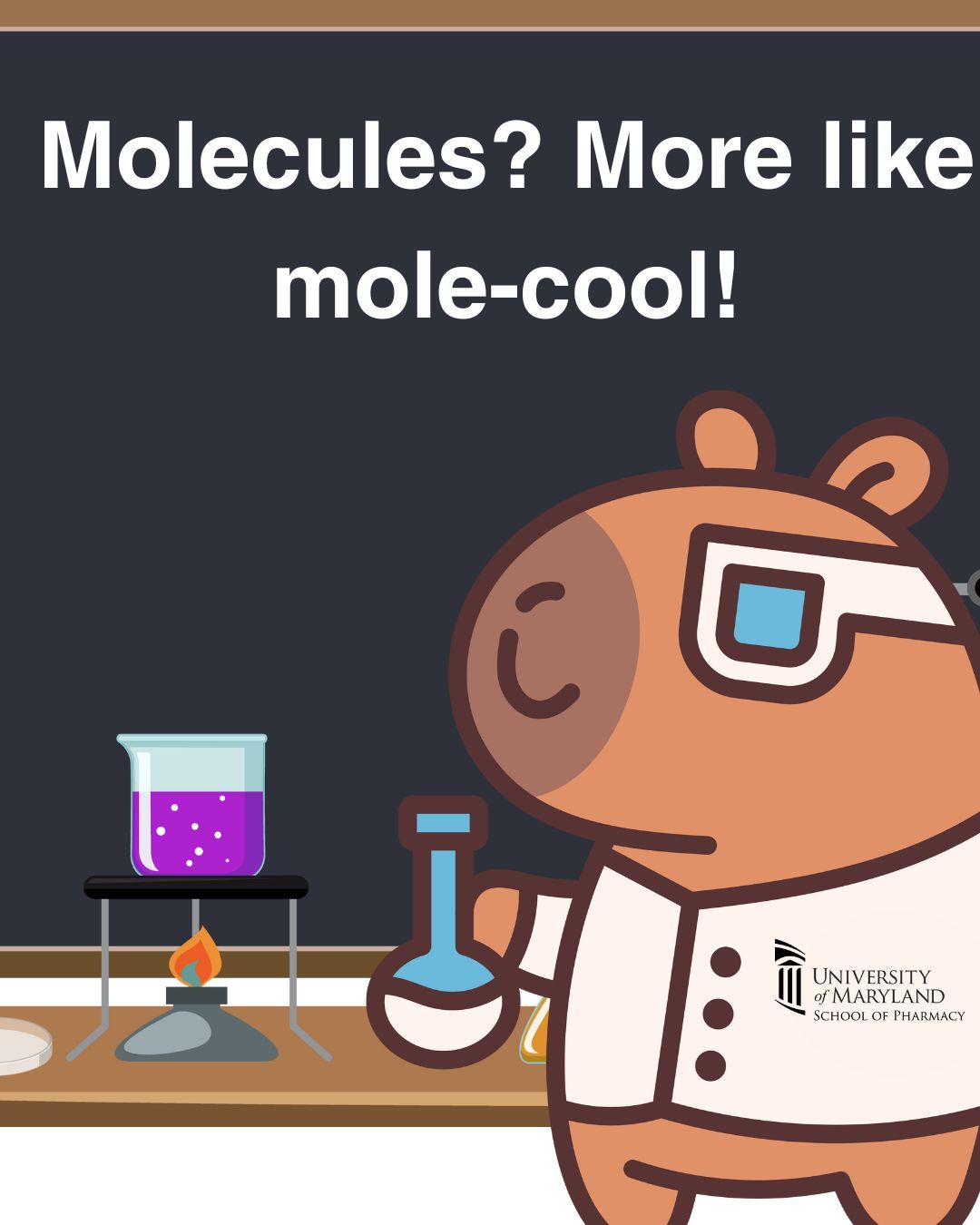 University of Maryland School of Pharmacy on X: 