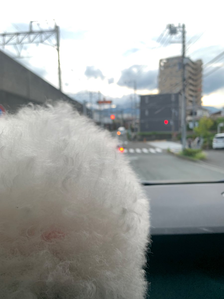 12patchpatch__'s tweet image. 最近🍩