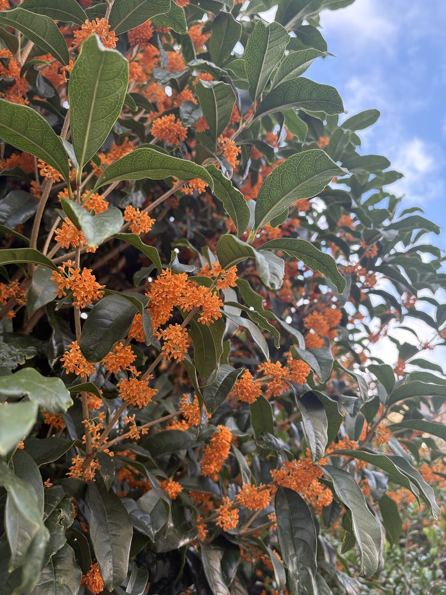 miki😷 tweet media