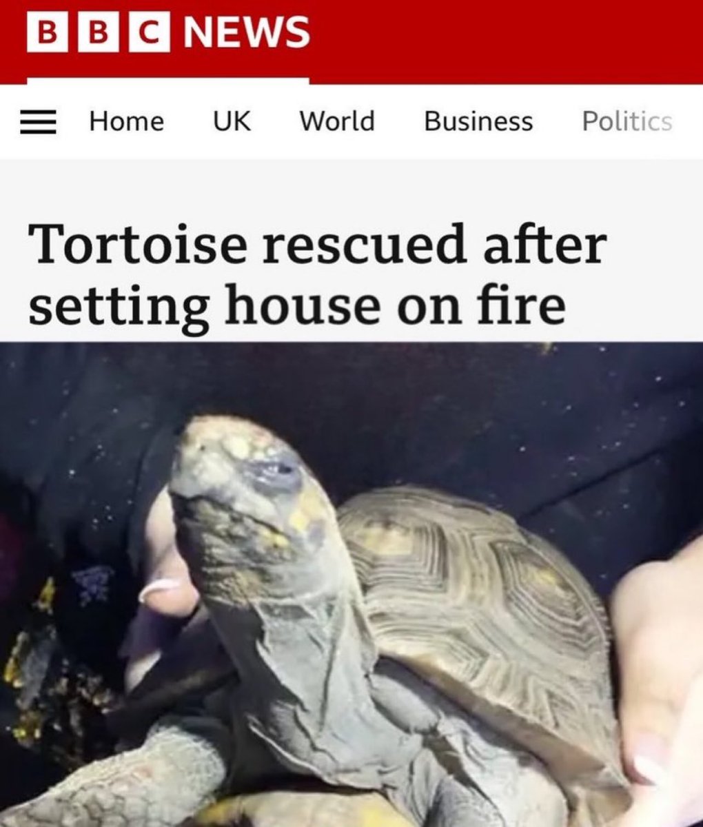 Paul Bronks tweet media