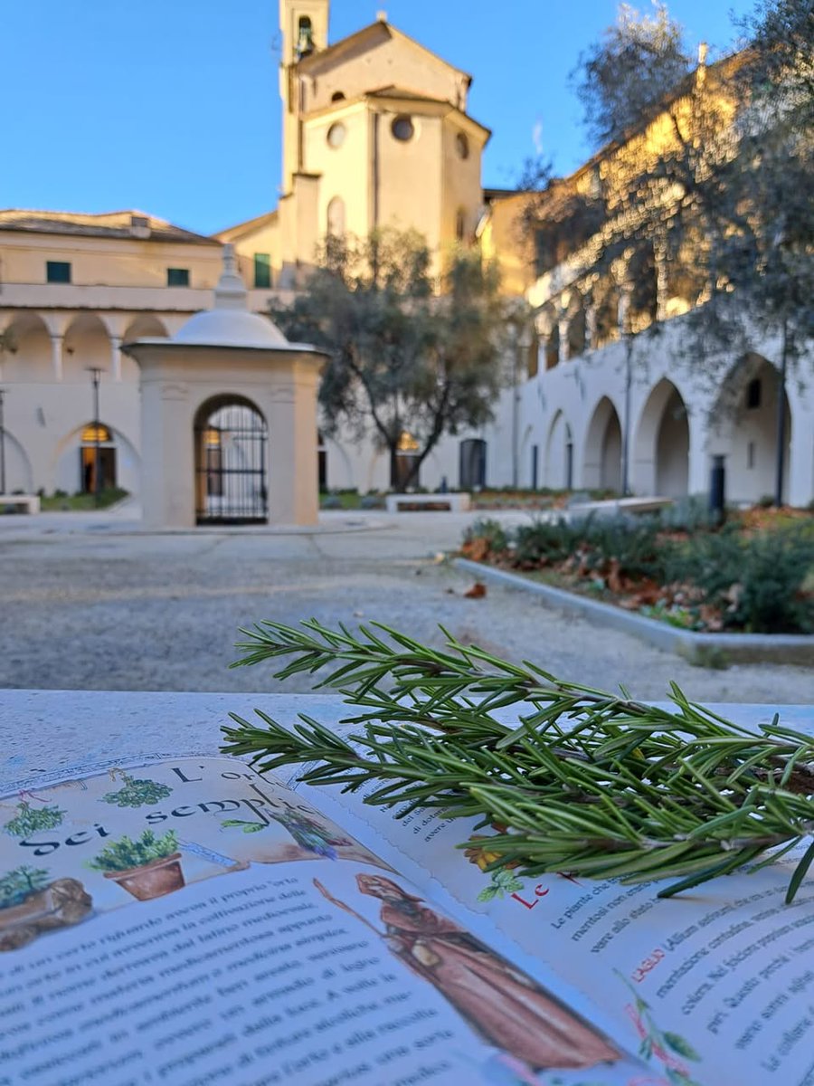 GenovaEventi's tweet photo. 🌿 Avete mai sognato di diventare 𝑏𝑜𝑡𝑎𝑛𝑖𝑐𝑖 𝑝𝑒𝑟 𝑢𝑛 𝑔𝑖𝑜𝑟𝑛𝑜?
🗓 Il 26 ottobre al #MUCE vi aspetta “L’Erbario Aromatico”, un laboratorio all’aria aperta per grandi e piccini tra natura, profumi e creatività
👉 https://t.co/SKNe3Ryqge
📸 Solidarietà e Lavoro https://t.co/2MDK1DoA9G