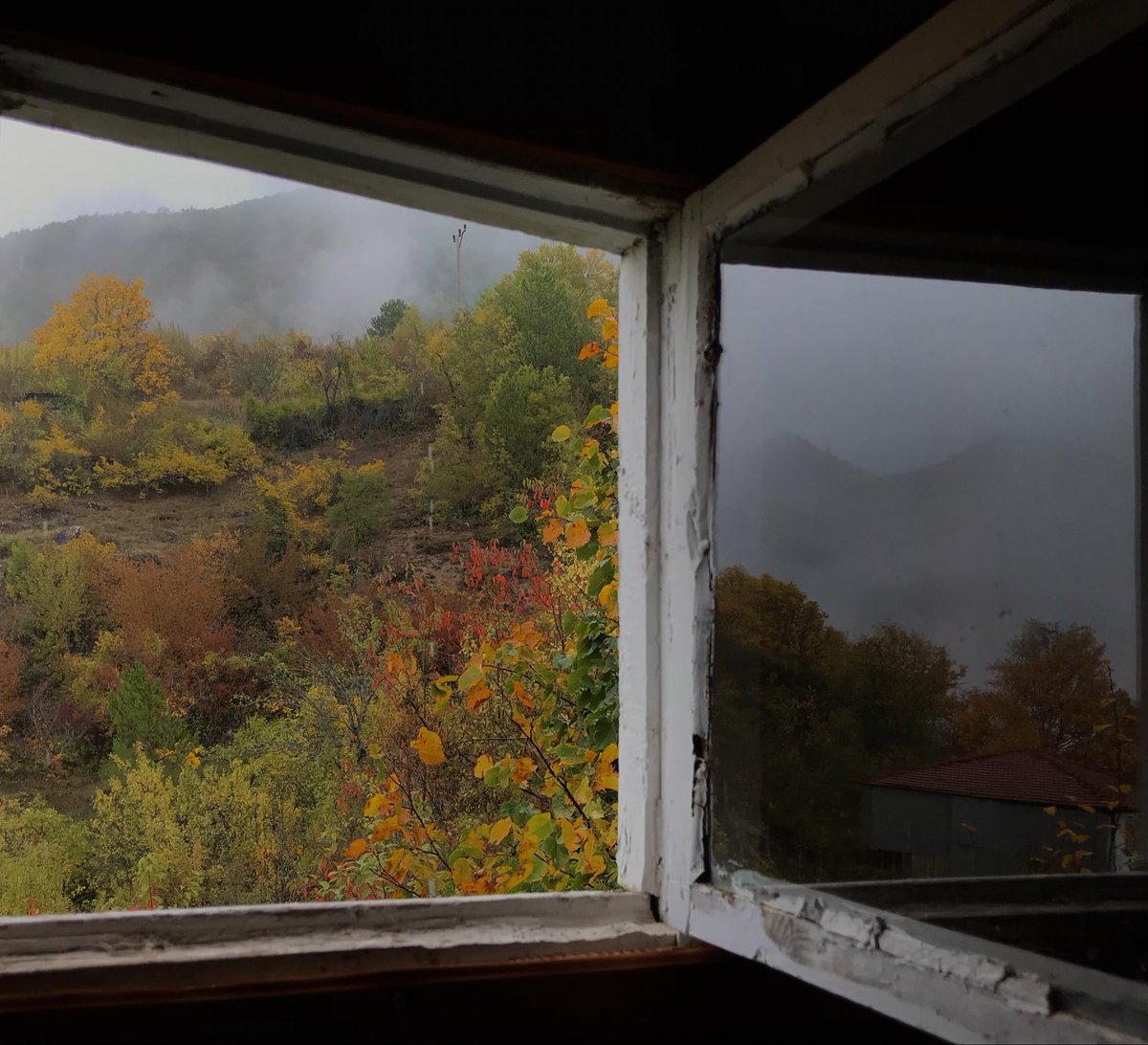 dumanlı sabahlar🍁