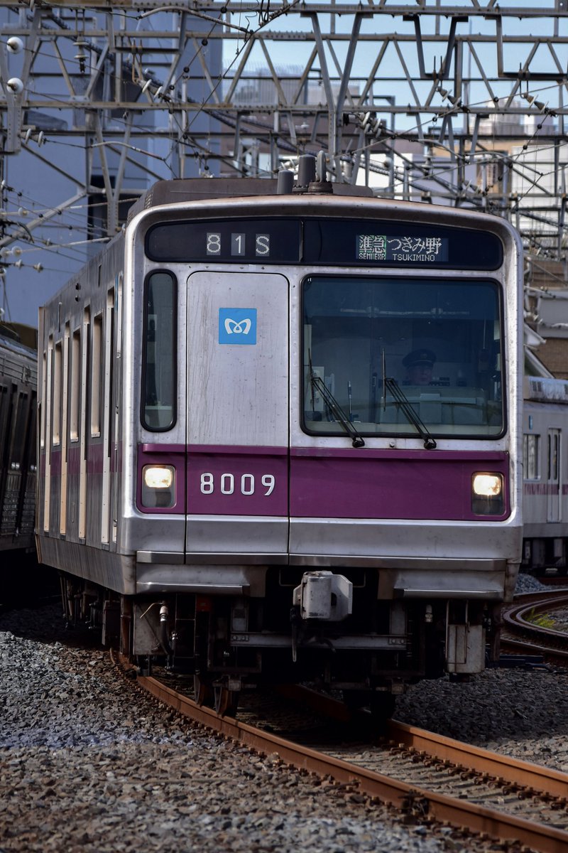 はとさん (@hato_8635) / Posts / X