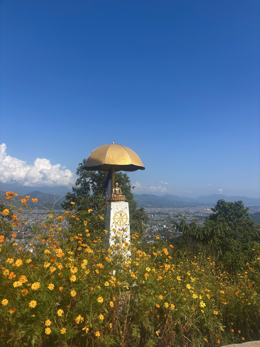 Im_prashant812's tweet image. Walked/Trekked 15 km today and still counting