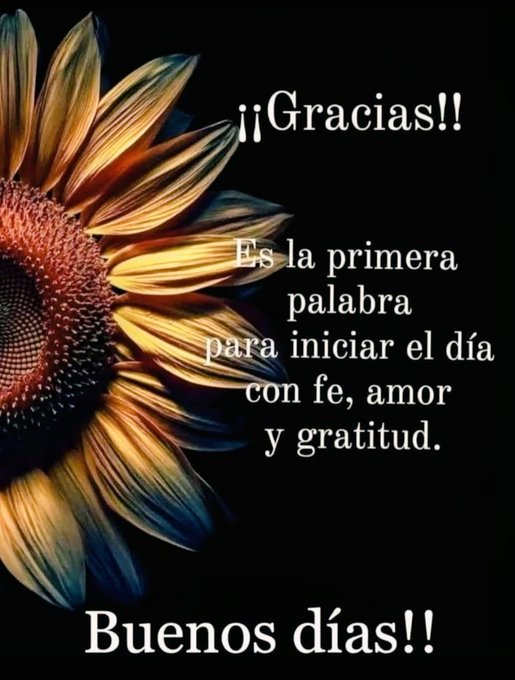A large sunflower with golden yellow petals and a dark brown center dominates the center against a solid black background. White text overlays read ¡Gracias!! at the top Es la primera palabra para iniciar el día con fe amor y gratitud. in the middle and Buenos días!! at the bottom. The composition centers the flower with balanced text placement.