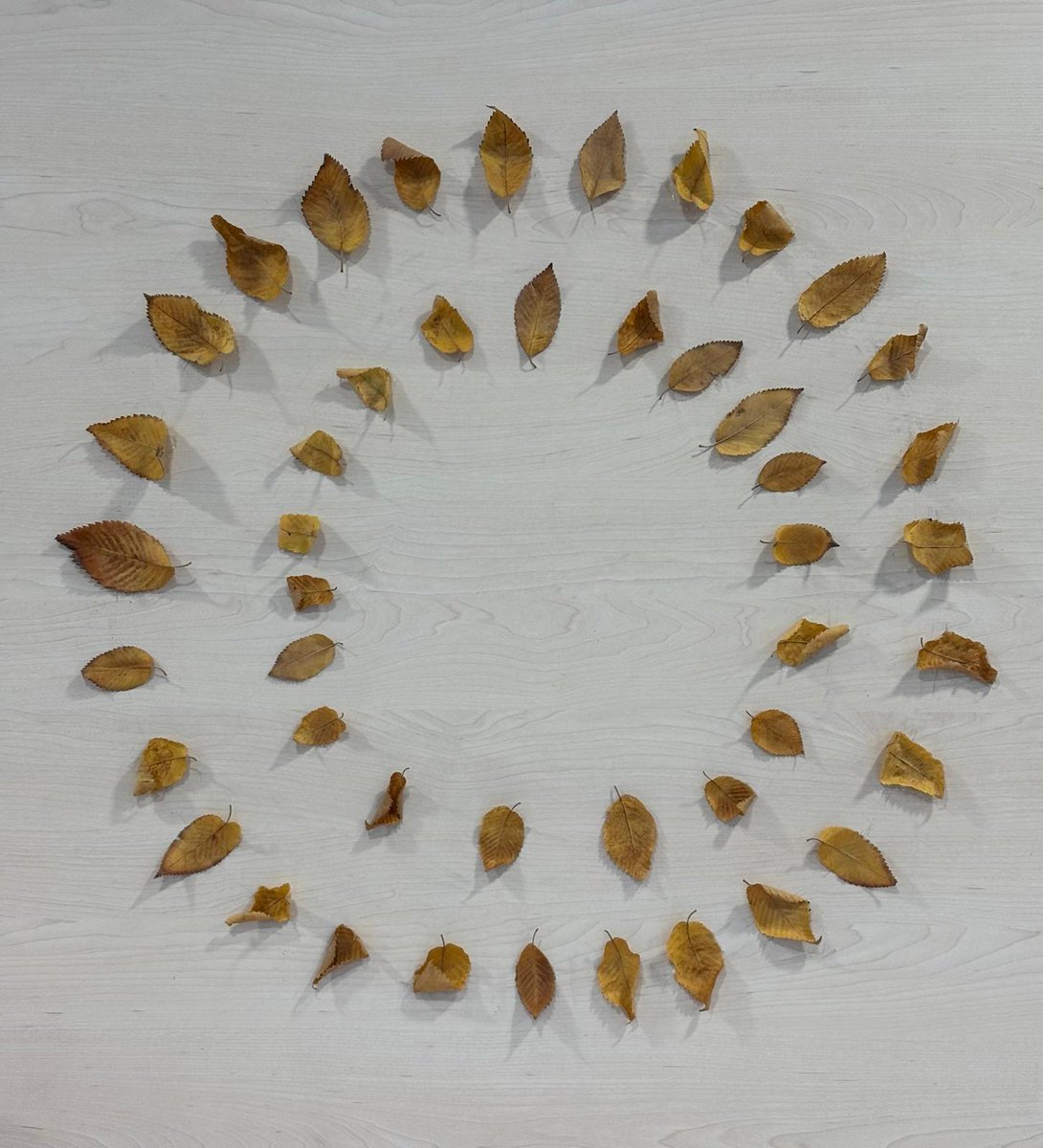 🌱 Aquest cap de setmana és la Fira Ecoviure de #Manresa 🌍 — fira de la sostenibilitat i el medi ambient 🍃🌼 A les biblioteques trobareu exposicions de llibres 📚 sobre plantes i la salut 🌿💚

#ecoviure #bibliotequesdemanresa #bibliotequesxbm #bibliotequesBBM #bibliotequescat