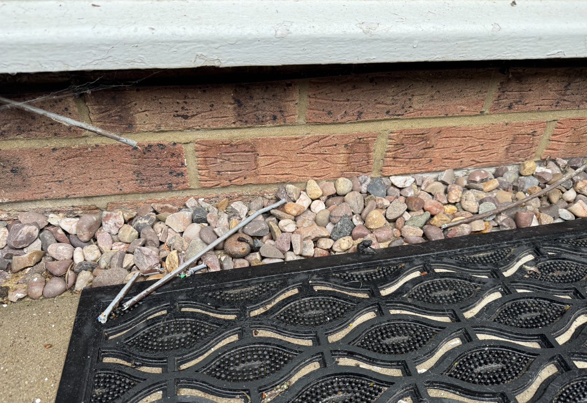 Oh gee I wonder why my internet has gone down last night  
Foxes are no longer welcome around here 😠