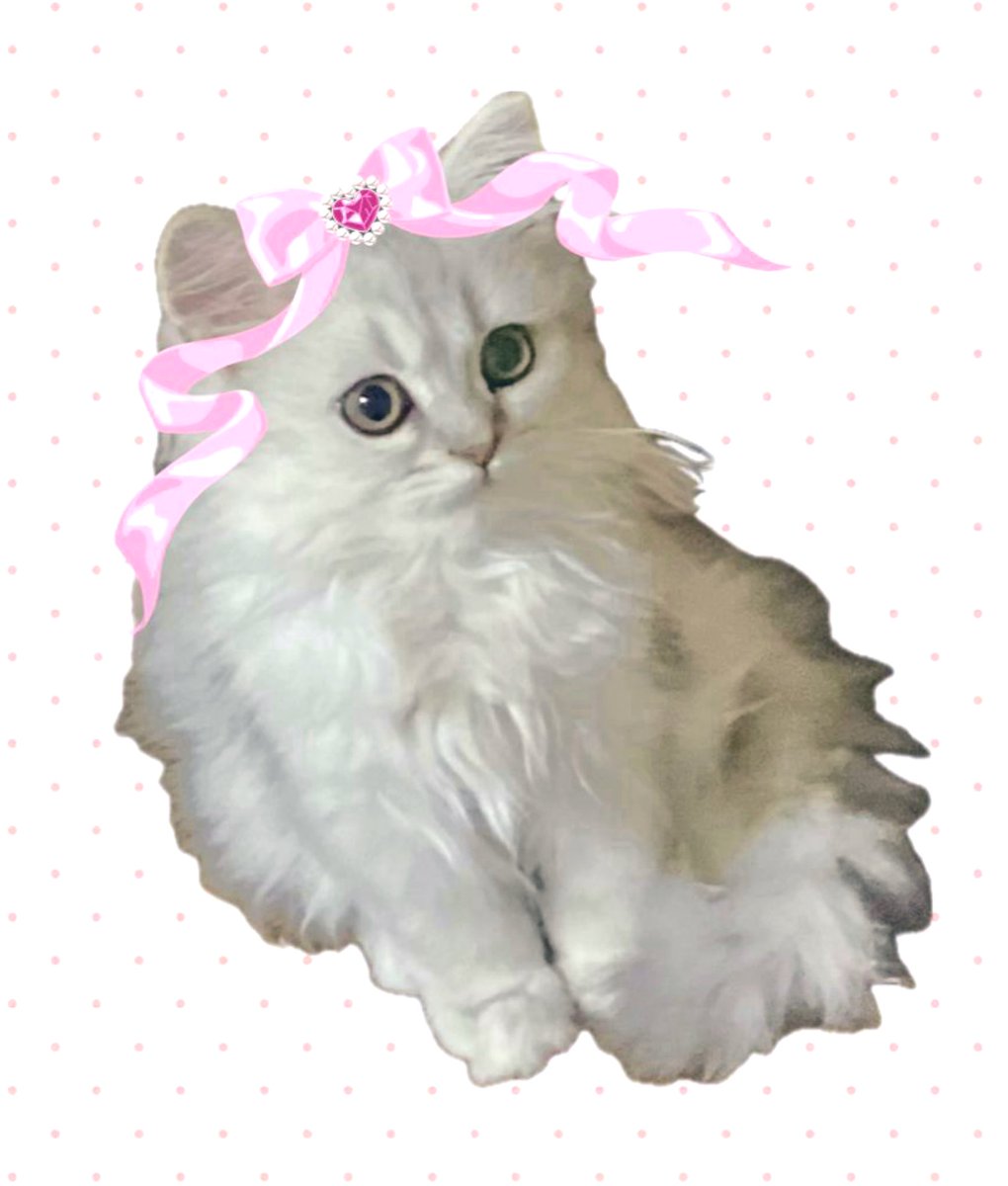 あーにゃん (@anyanz717) / Posts / X