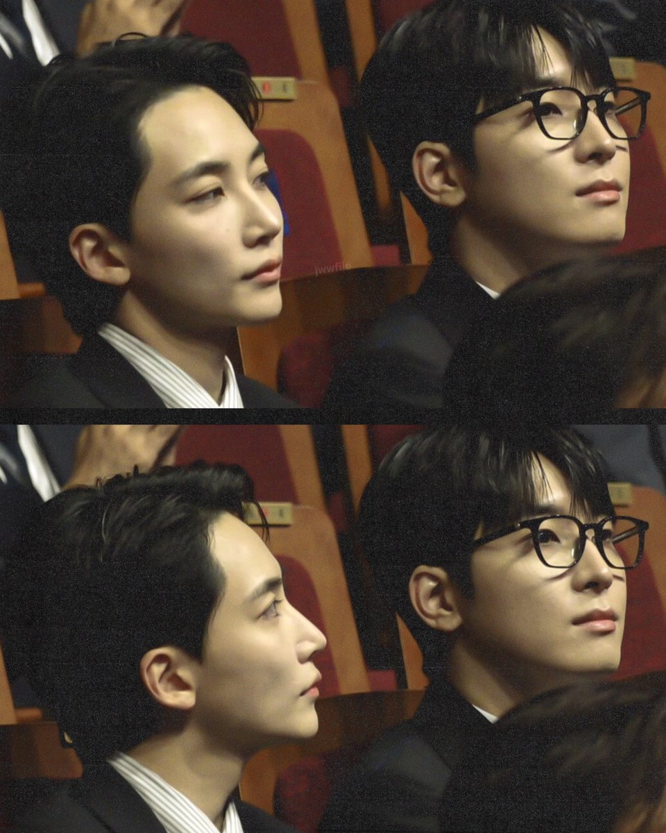 jeonghan and wonwoo